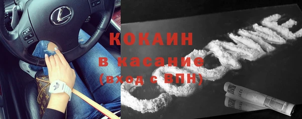 хмурый Абаза
