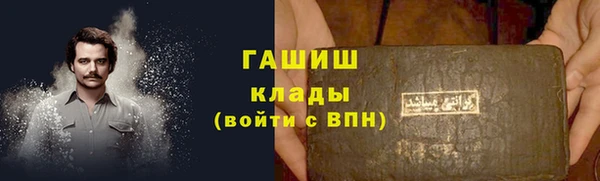 хмурый Абаза