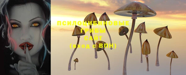 соль ск Абинск