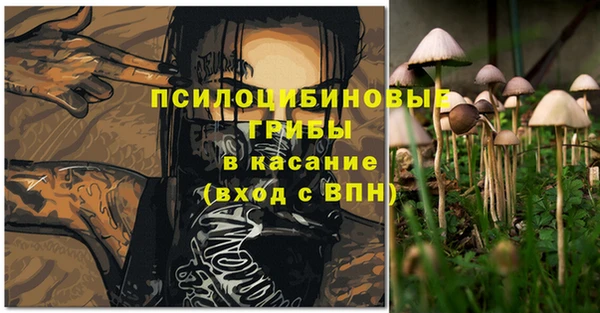 амф Абдулино