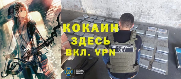 хмурый Абаза