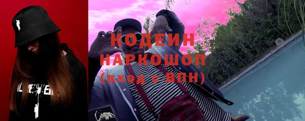 хмурый Абаза